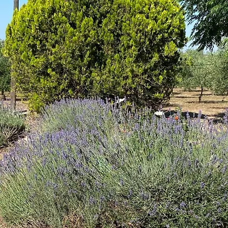 Casale Montereale Holiday home